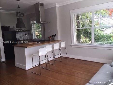 kitchen featuring a healthy amount of sunlight, dark wood-style flooring, and crown molding