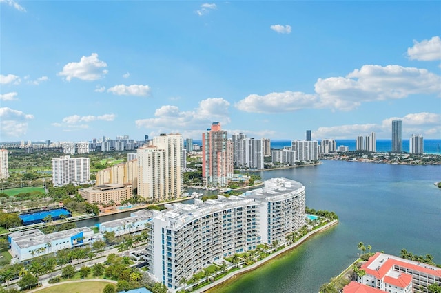 drone / aerial view with a water view and a city view