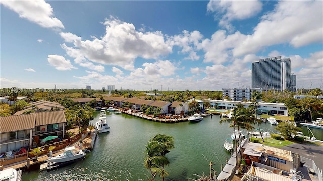 aerial view with a water view