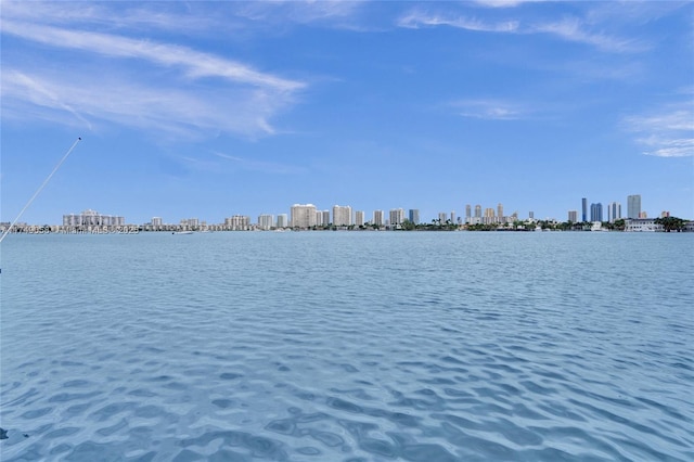 view of water feature featuring a city view