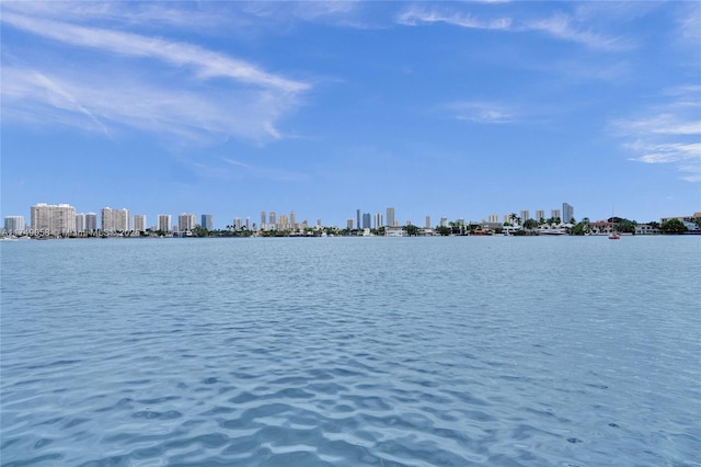 property view of water featuring a city view