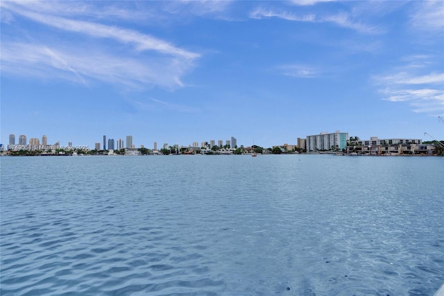 property view of water featuring a city view