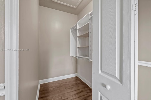 spacious closet featuring wood finished floors