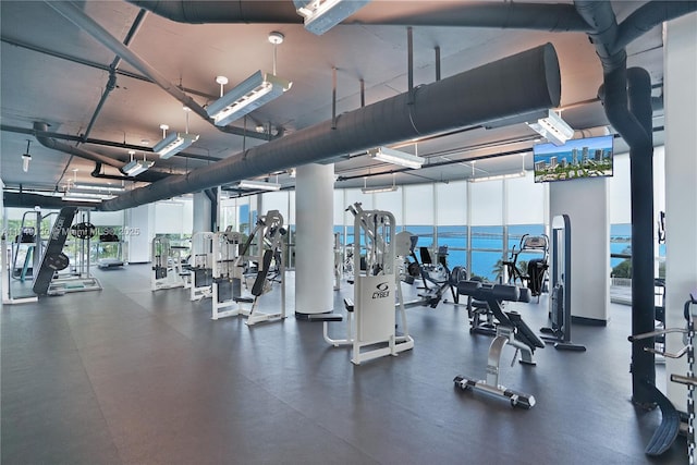 workout area featuring a wall of windows and plenty of natural light