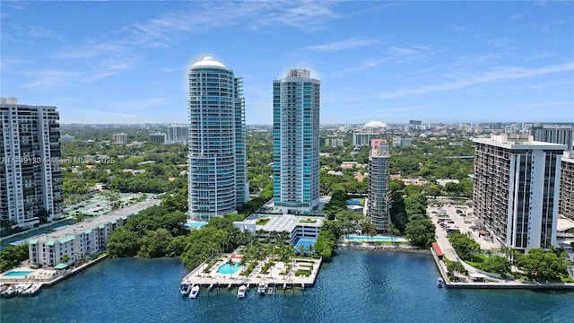 bird's eye view featuring a water view and a city view