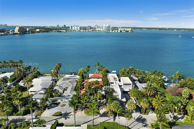 property view of water featuring a view of city