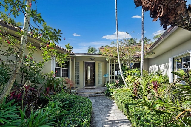 entrance to property featuring stucco siding