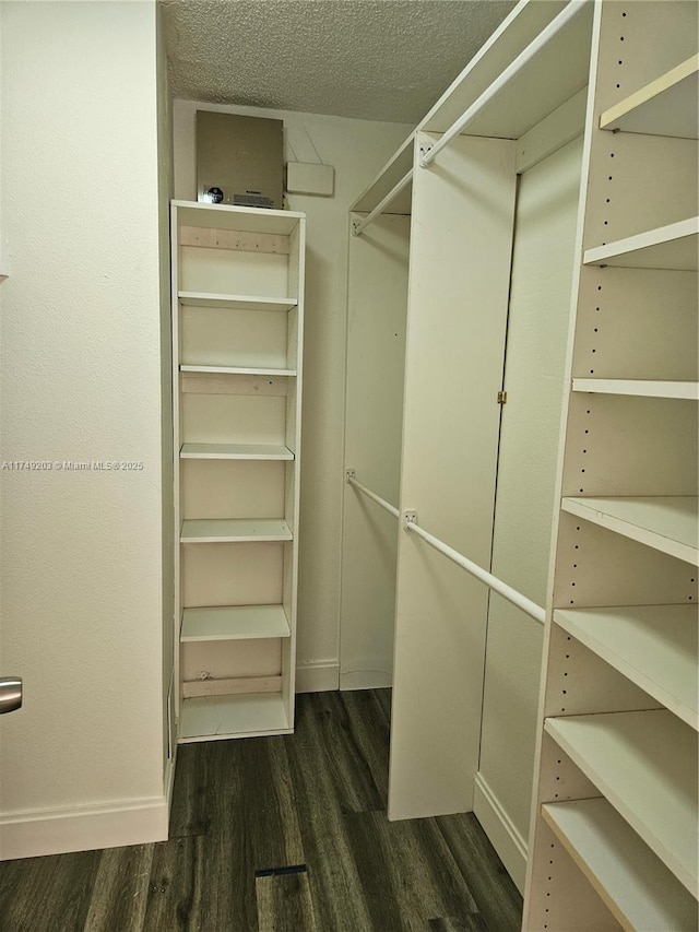 spacious closet featuring dark wood finished floors