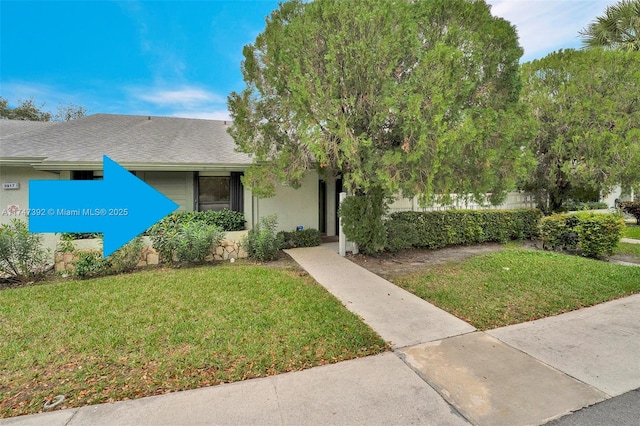 view of front facade featuring roof with shingles, a front yard, and stucco siding