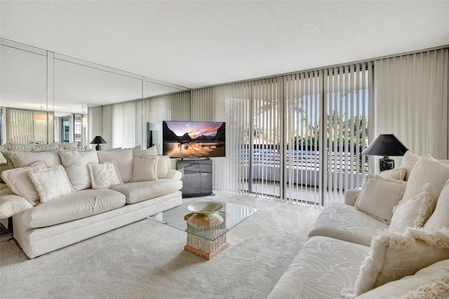 living area featuring carpet floors
