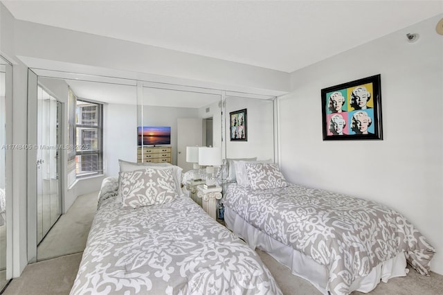 bedroom featuring carpet floors and a closet