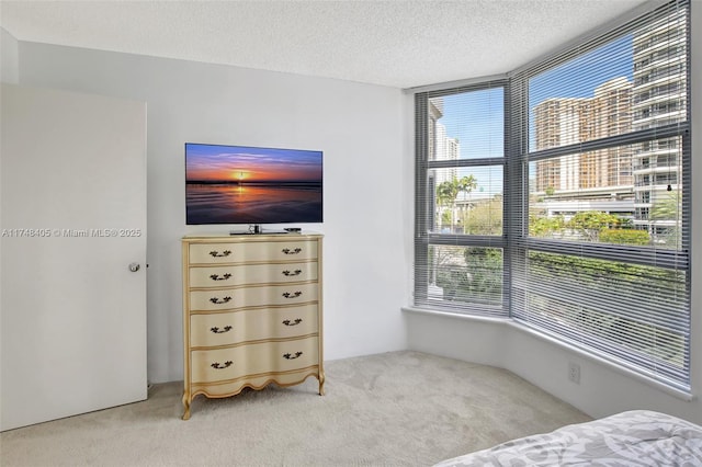 bedroom with light carpet and a textured ceiling