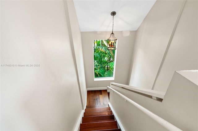 stairway with baseboards and wood finished floors