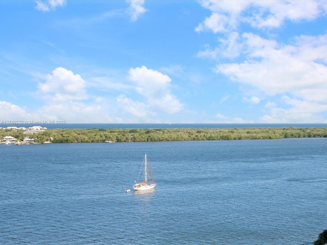 property view of water