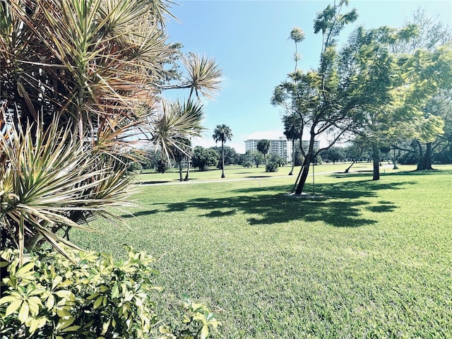 3800 Oaks Clubhouse Dr Unit 112, Pompano Beach, FL 33069 - view of green lawn