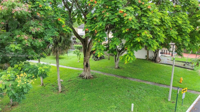 view of green lawn