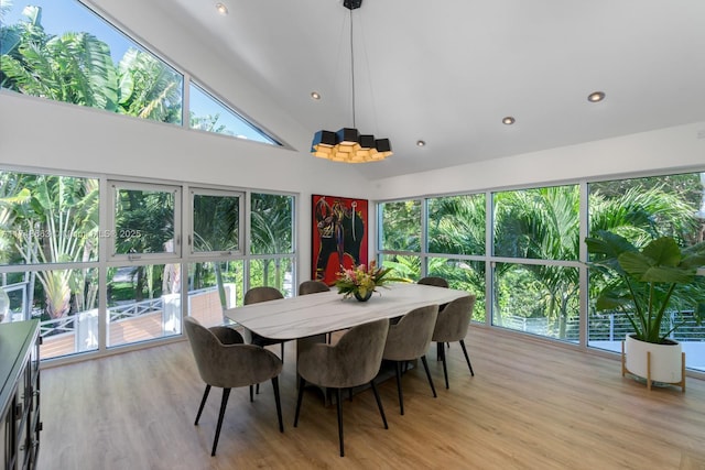 144 N Prospect Dr, Coral Gables, FL 33133 - sunroom / solarium featuring wood finished floors, high vaulted ceiling, and recessed lighting