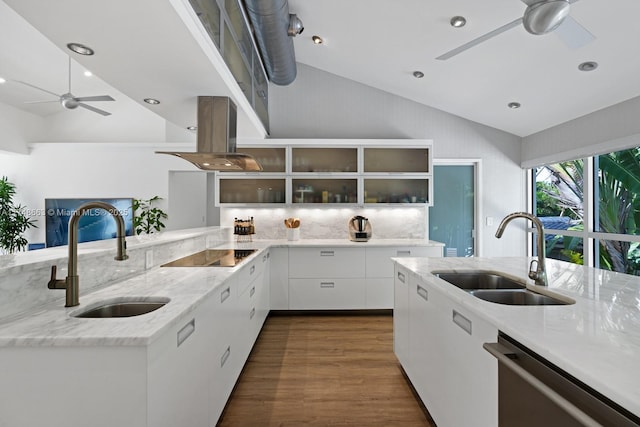144 N Prospect Dr, Coral Gables, FL 33133 - kitchen with ceiling fan, stainless steel dishwasher, black electric stovetop, island exhaust hood, and a peninsula