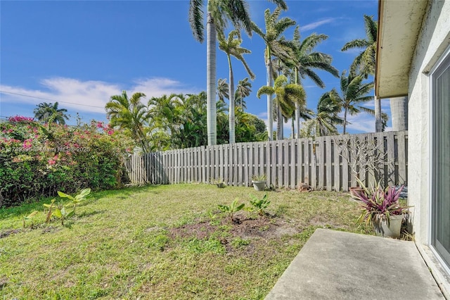 view of yard with a fenced backyard and a patio