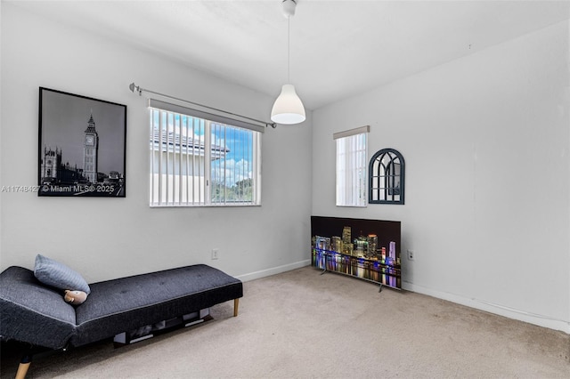 living area with carpet and baseboards