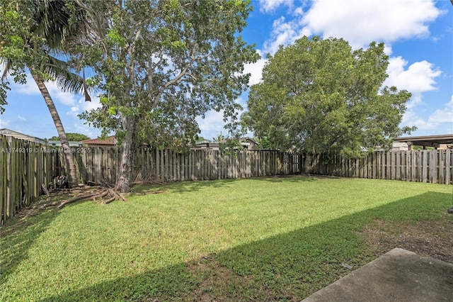 view of yard featuring a fenced backyard