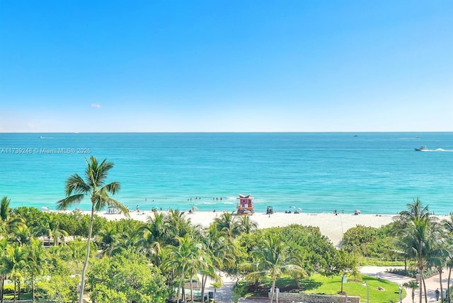 property view of water featuring a beach view
