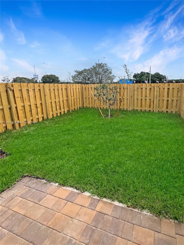 view of yard featuring a fenced backyard