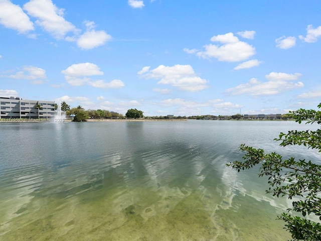 view of water feature