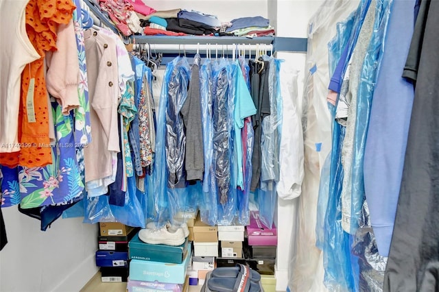 view of spacious closet