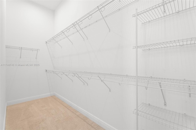 walk in closet featuring light carpet