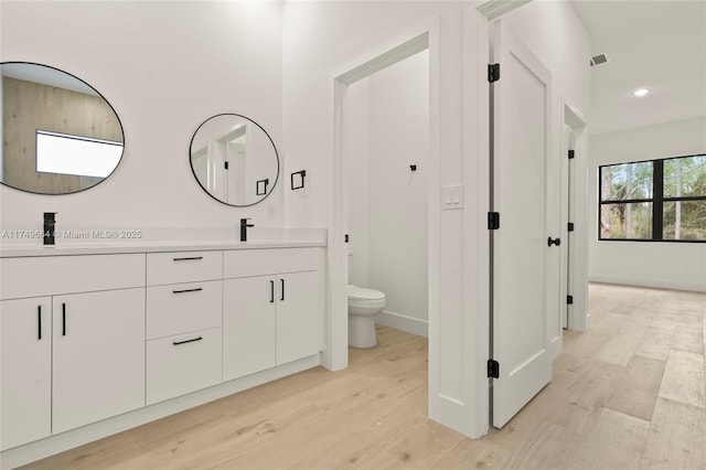 bathroom featuring wood finished floors, a sink, and toilet