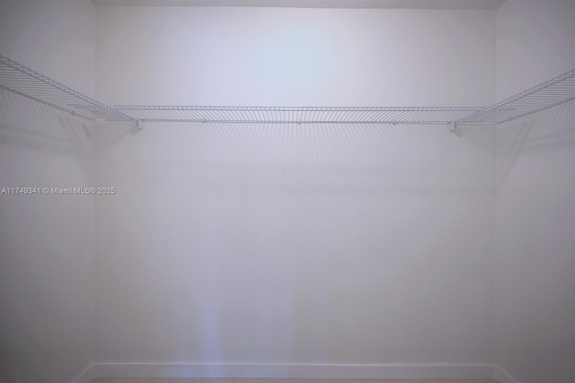 view of spacious closet