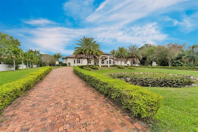 view of front of property featuring a front lawn and stucco siding