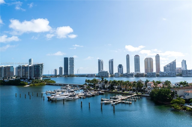 water view featuring a view of city and a dock