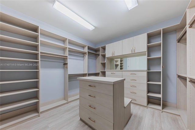 spacious closet featuring light wood-style floors