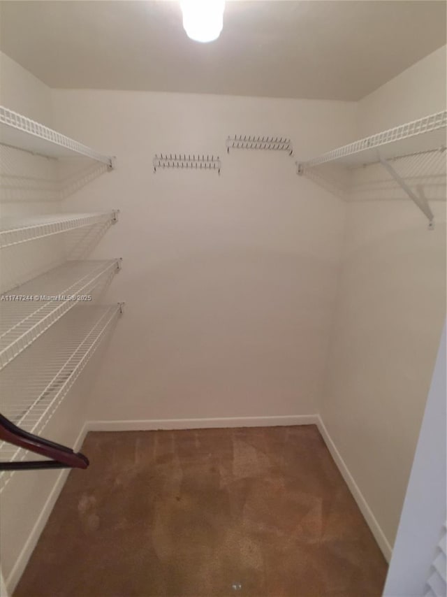 1821 Jefferson Ave Unit 205, Miami Beach, FL 33139 - spacious closet with carpet floors