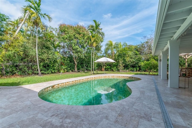 outdoor pool with a patio area