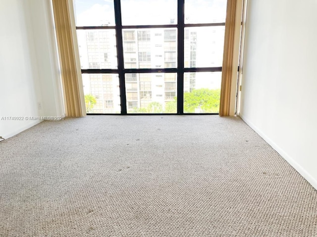 carpeted spare room featuring floor to ceiling windows and a wealth of natural light