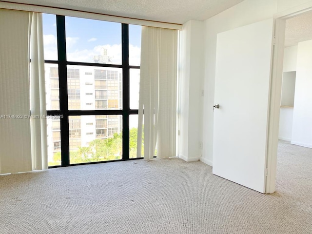 unfurnished room with a wall of windows, light colored carpet, a textured ceiling, and baseboards