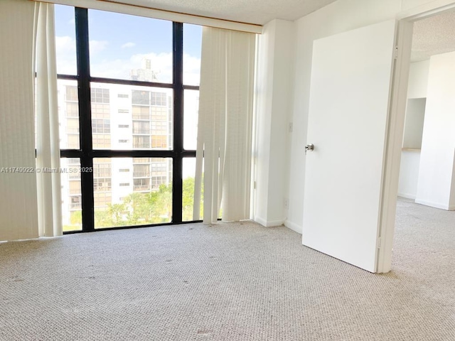 empty room with light carpet, baseboards, a wall of windows, and a wealth of natural light