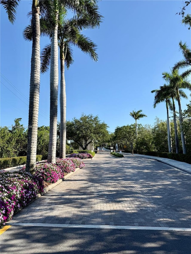 view of road with curbs