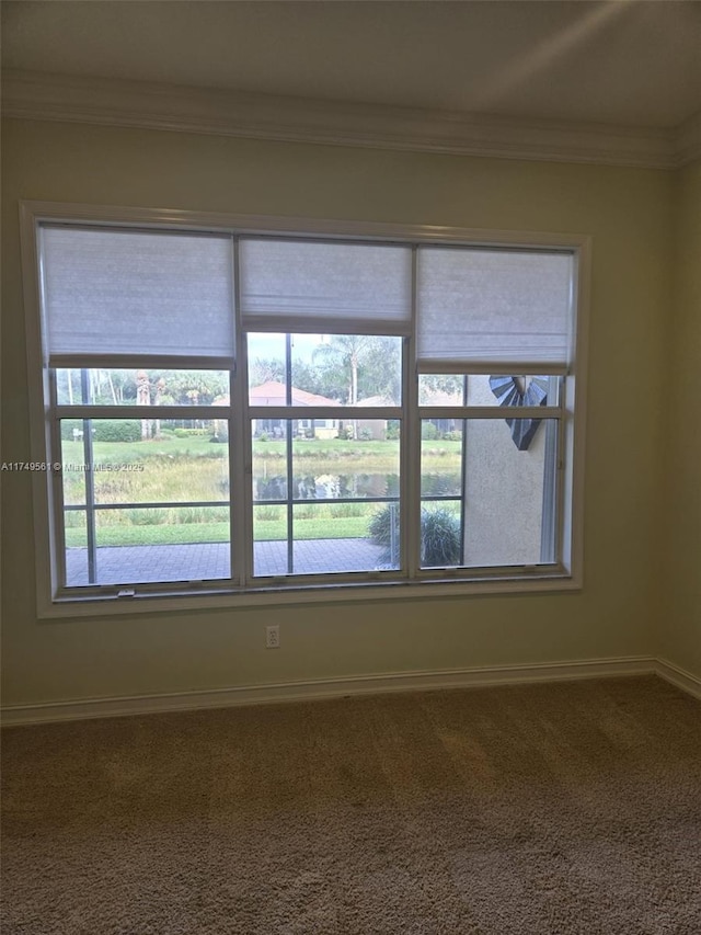 spare room featuring baseboards, carpet, and crown molding