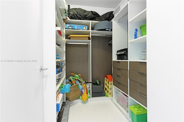 view of spacious closet