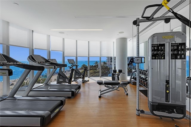 gym featuring a water view, wood finished floors, and floor to ceiling windows