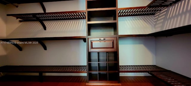 spacious closet featuring wood finished floors