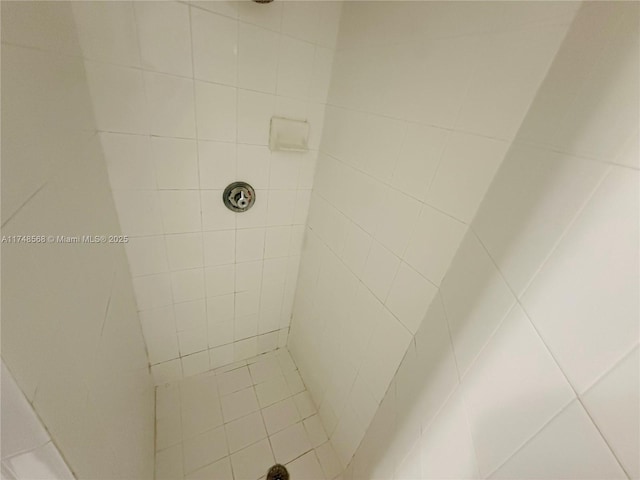 full bathroom with a tile shower