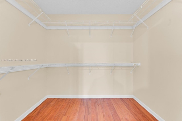 9745 NW 37th St Unit 9745, Sunrise, FL 33351 - walk in closet featuring light wood-style floors