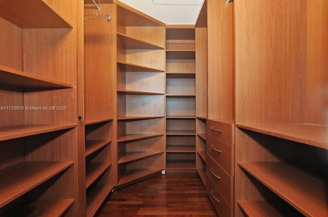 spacious closet featuring dark wood finished floors