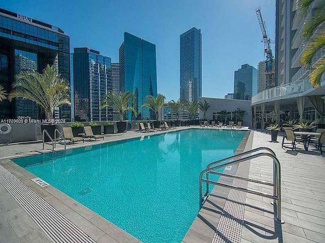 1250 S Miami Ave Unit 2214, Miami, FL 33130 - community pool with a view of skyline