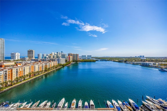 water view featuring a city view